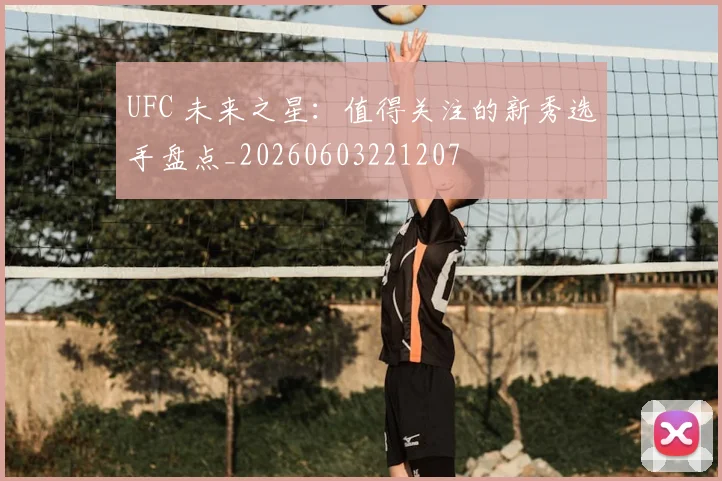 UFC 未来之星：值得关注的新秀选手盘点_20260603221207