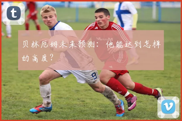 贝林厄姆未来预测：他能达到怎样的高度？